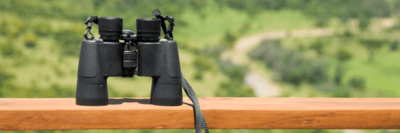 Quiz: Test Your Bird-Watching Skills