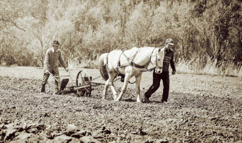 Most common jobs 150 years ago in North Carolina