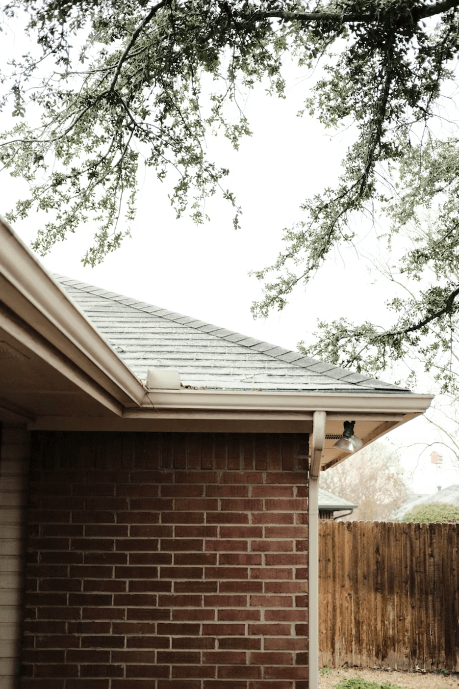 Spring Is Finally Here in North Carolina. Here Are 8 Tips to Get Your Yard Looking Good Again.