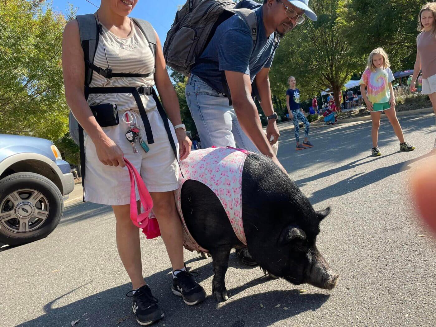 21 Wacky, Wild, & Woolly Festivals Happening in North Carolina in 2023