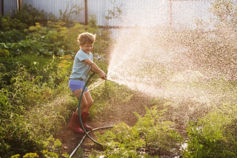 Gardening Tips for Summer