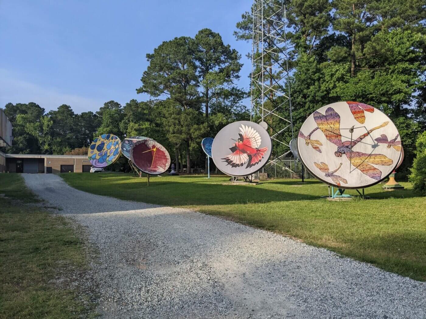 Where are North Carolina’s Most Scenic Spots for Outdoor Fun (+ Great Pics)?