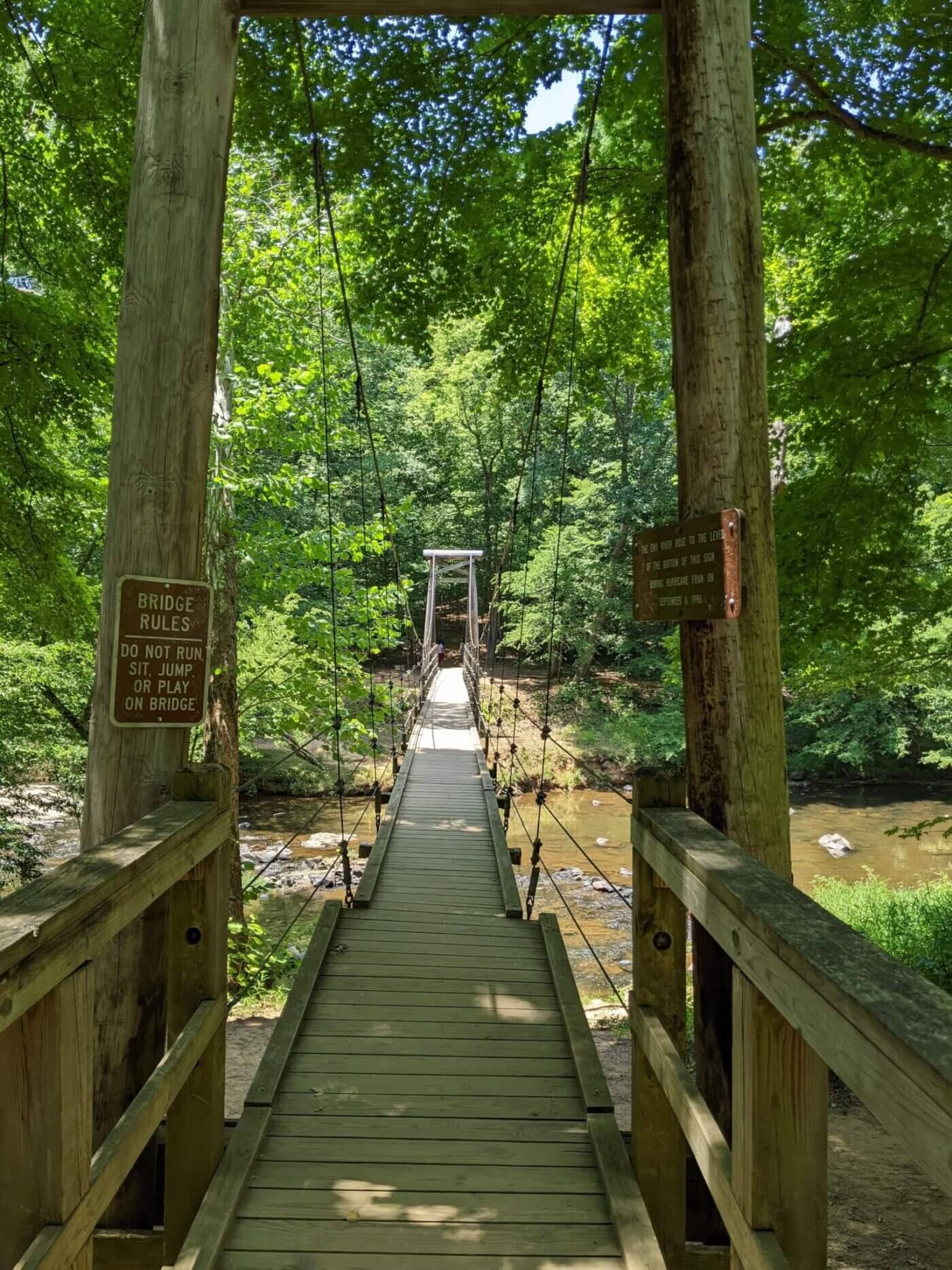Where are North Carolina’s Most Scenic Spots for Outdoor Fun (+ Great Pics)?