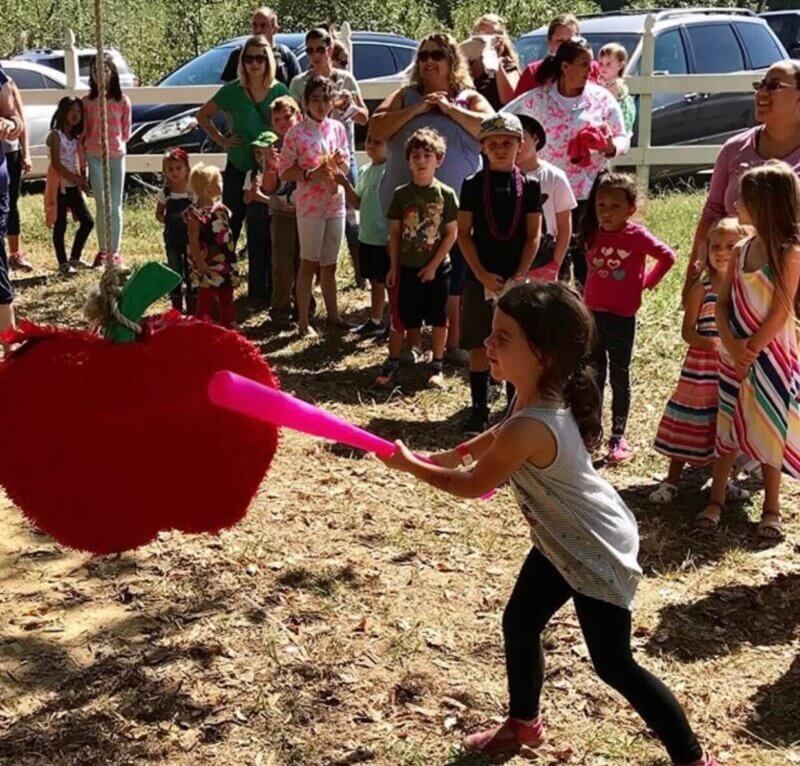 How to Get the Most Out of Fall in North Carolina’s Three Regions