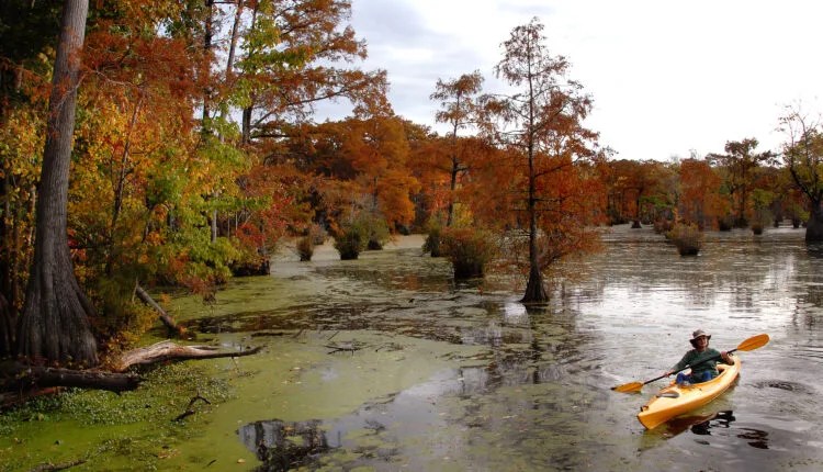 The Lesser-Known State Park In Northeast NC That’s Idyllic In Spring