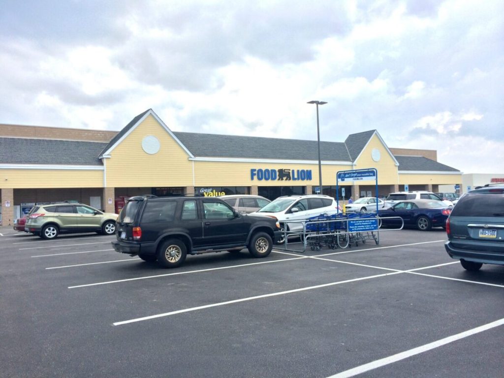 Exterior photo of a Food Lion store.