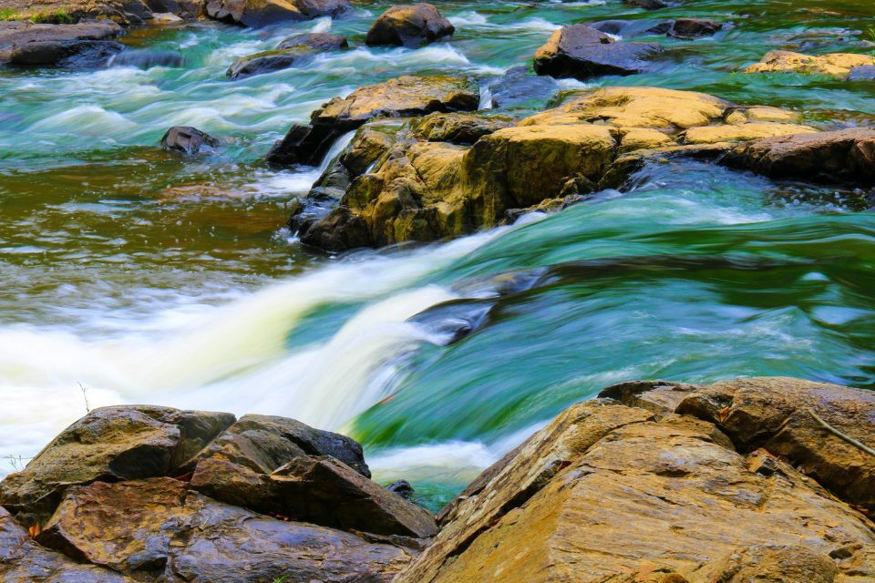 A close up view of the river flowing at Eno River State Park.