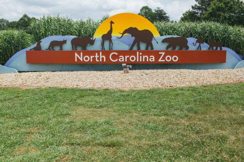 Exterior shot of NC Zoo sign.