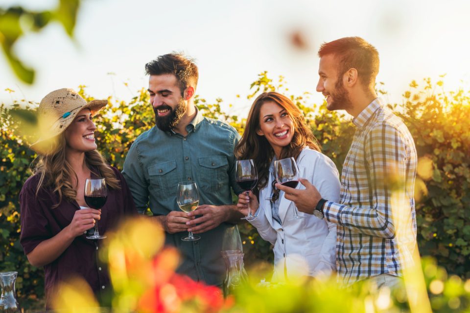 Four people enjoying glasses of wine in a vineyard.