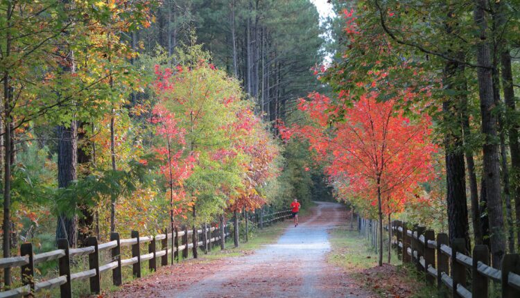 Climb aboard: 8 rails to trails hikes in North Carolina