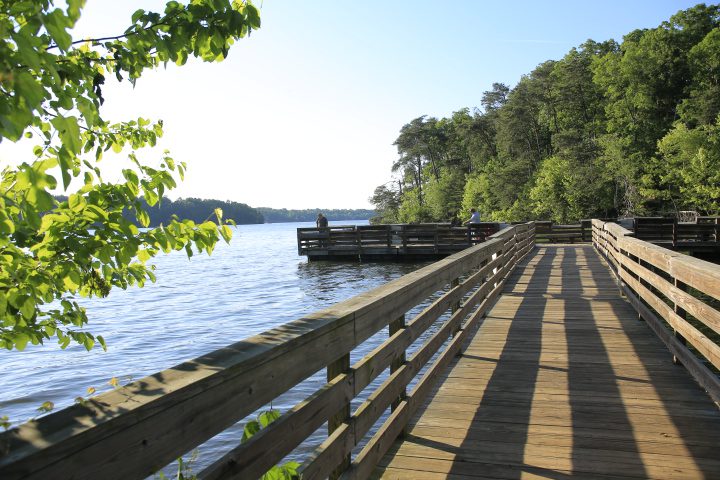 North Carolina’s dark sky sites will leave you starry-eyed