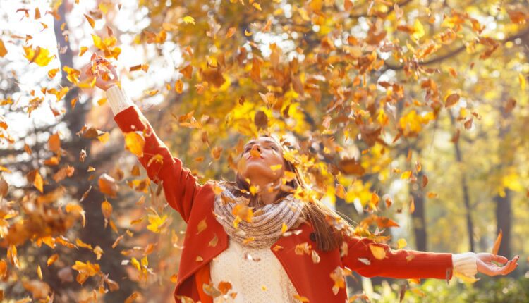 Why Black Mountain is the best small town in NC to spend a fall day in