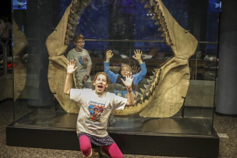 The 10 best North Carolina State Parks to enjoy in the winter