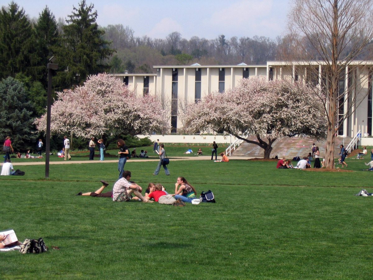 Students sitting on a lawn among blooming crab apple trees at UNC Asheville.