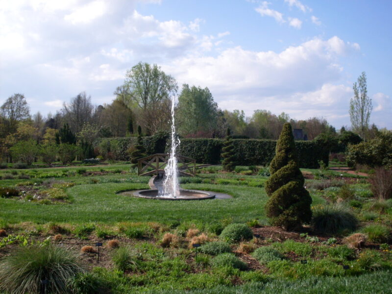 5 best public gardens in North Carolina