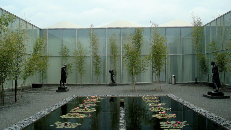 9 North Carolina flower festivals in 2025