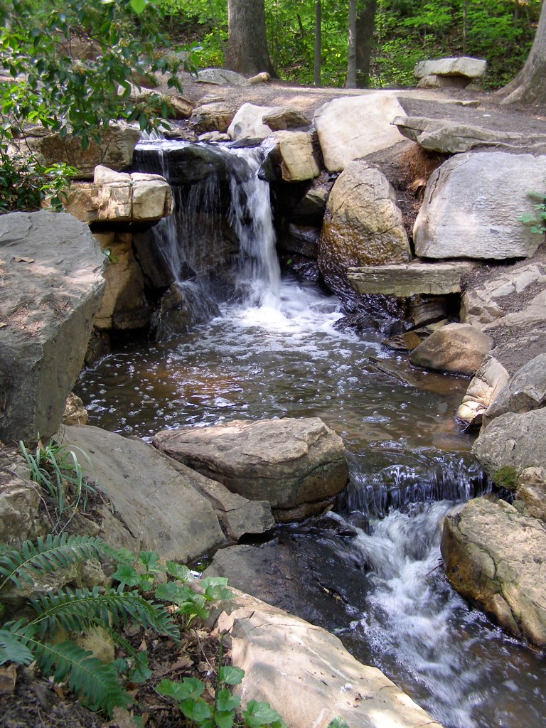 5 best public gardens in North Carolina 