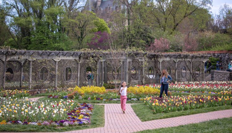 9 North Carolina flower festivals in 2025