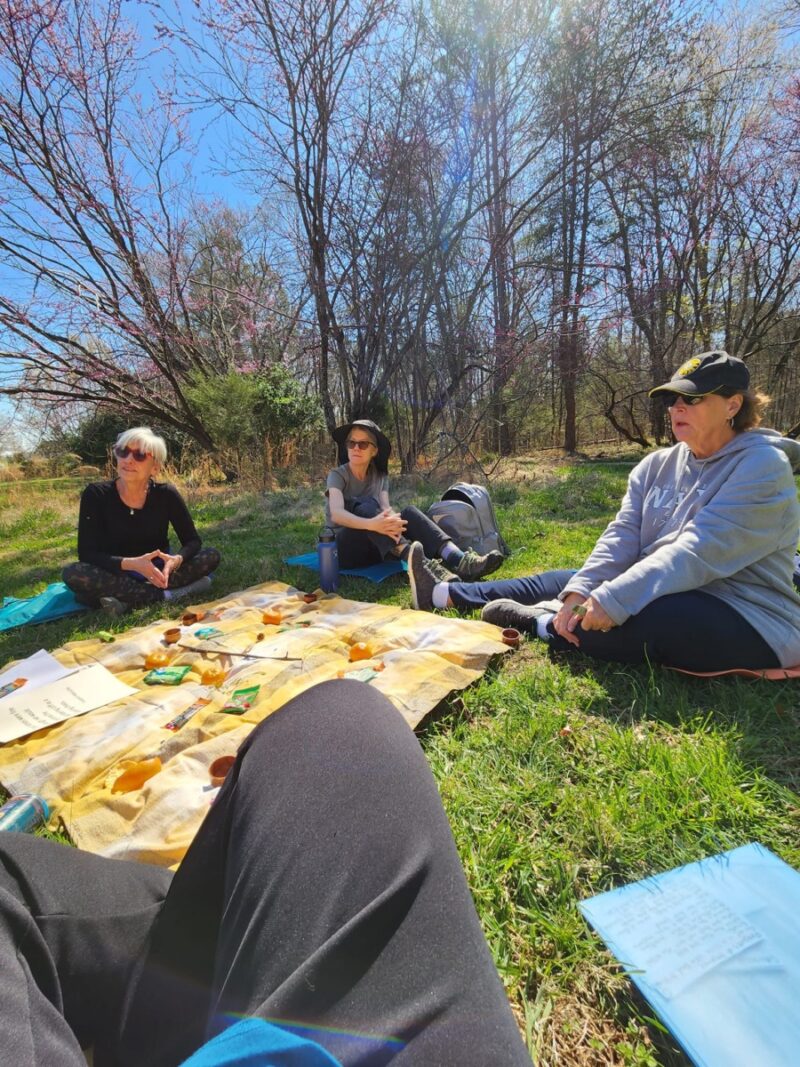 Forest bathing & more: 6 places in North Carolina that help you reach a state of zen