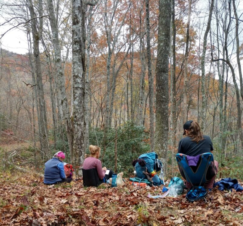 Forest bathing & more: 6 places in North Carolina that help you reach a state of zen