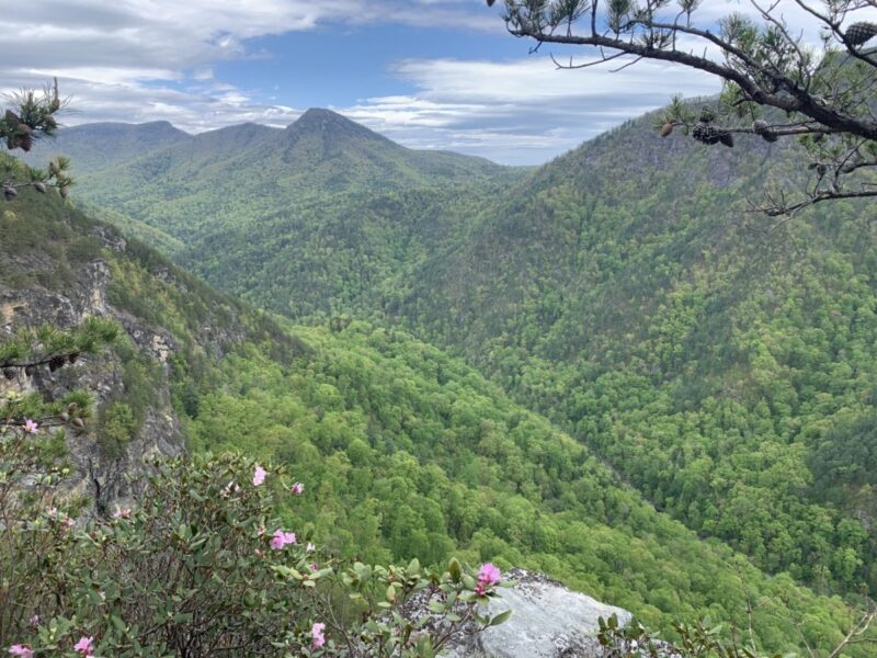 Support these WNC mountain towns for Spring Break 2025