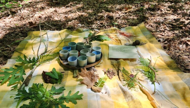 Forest bathing & more: 6 places in North Carolina that help you reach a state of zen