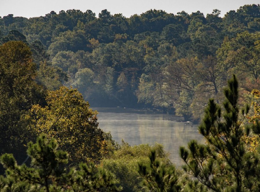 a view through the trees at Cliffs of the Neuse State Park