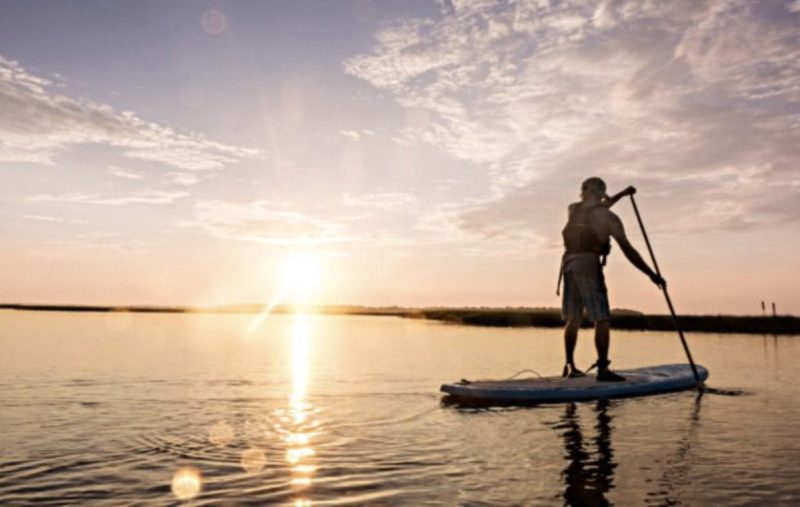 Pristine, sandy beaches and mysterious, maritime swamp forests at Hammocks Beach State Park