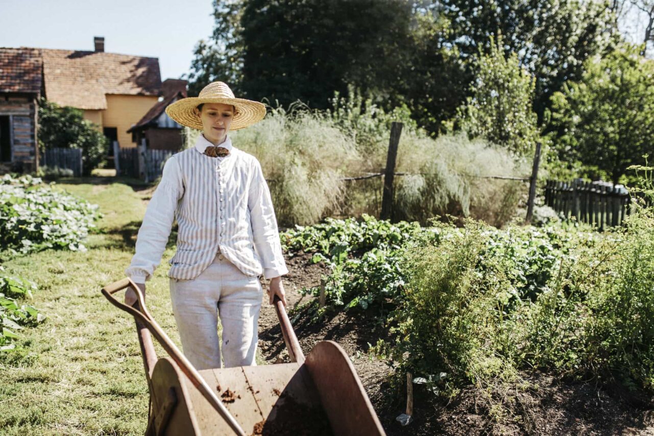 person with wheelbarrow walking through garden 