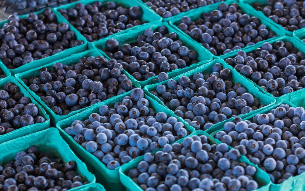 Good News Friday: The NC Blueberry Festival returns