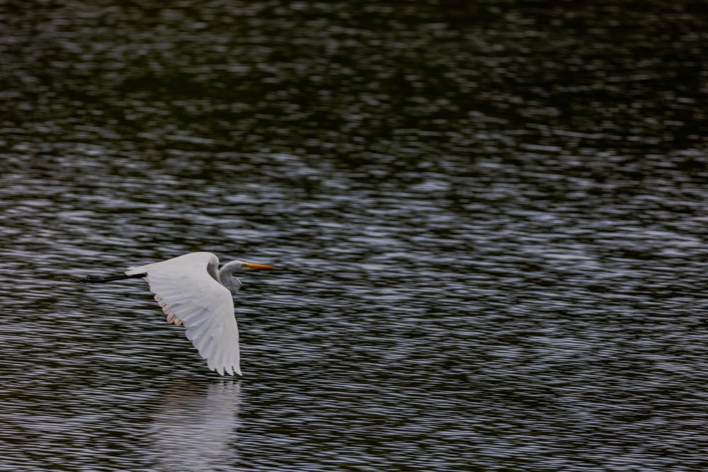 Good News Friday: A big boost for eastern NC trails