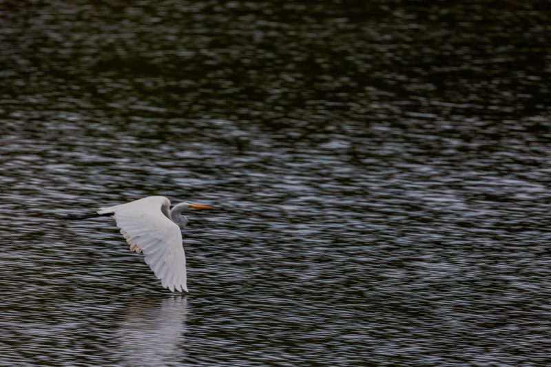 A huge boost for eastern NC trails