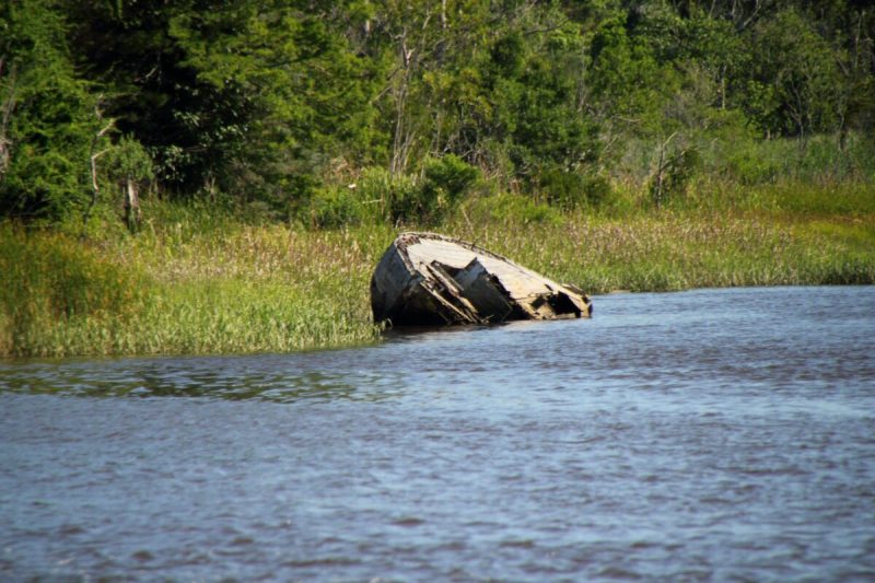 the abandoned shipwrecks along the Cape Fear River waterfront