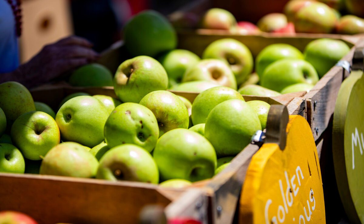 North Carolina Apple Festival
