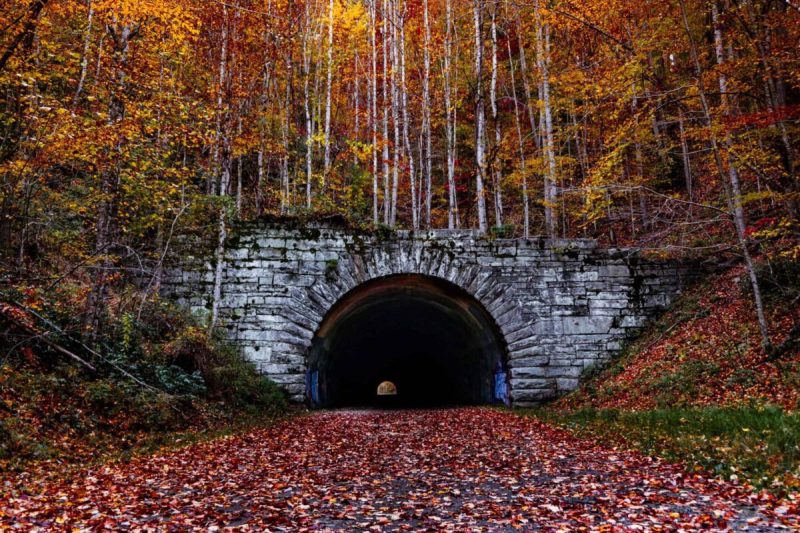 When the humid, hot days of summer finally give way to fall, it’s high time to embark on a road trip to explore all of North Carolina’s glorious autumn foliage.