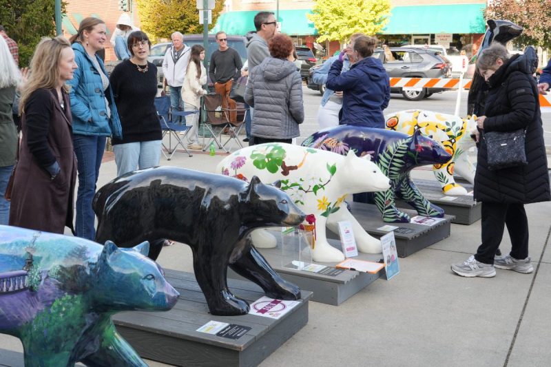 Post-Helene, Hendersonville break art auction fundraising record