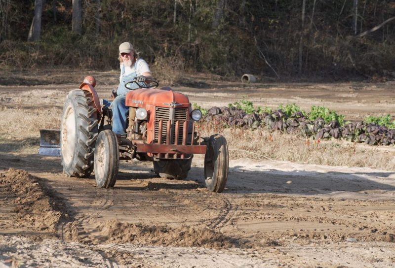 Government shutdown impacts North Carolina farmers