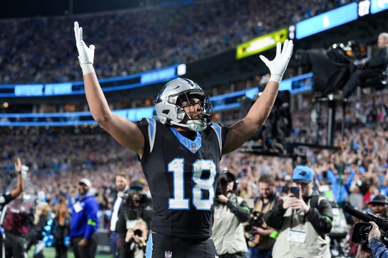Carolina Panthers gave fans hope this year