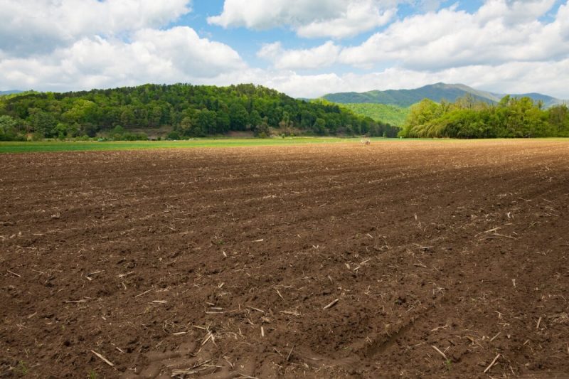 Farm field near Bryson city NC ready to be seeded