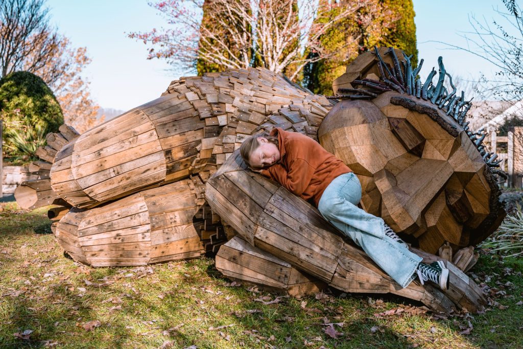 Dambo trolls in Asheville