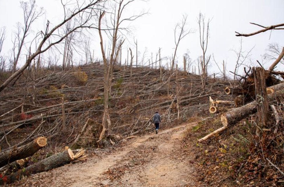 NC forestry officials worry about growing wildfire threat, fewer workers
