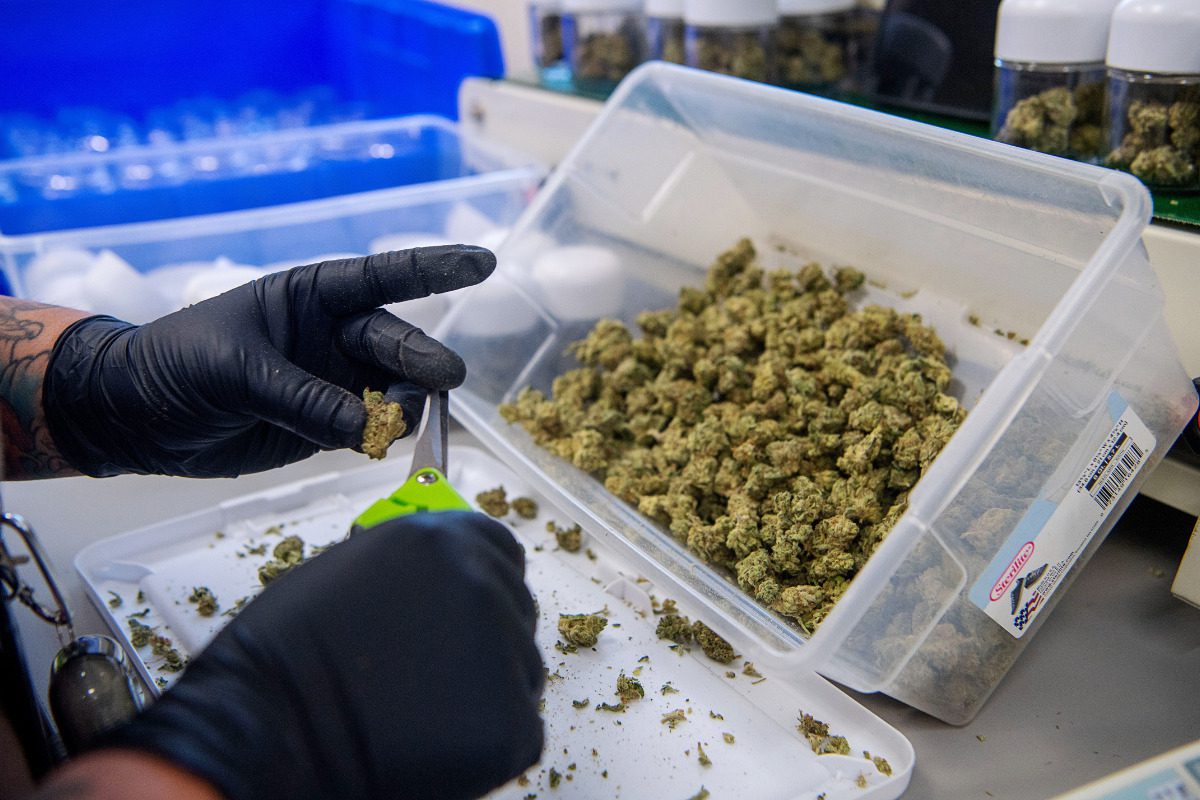 What updating North Carolina marijuana laws would mean for western NC