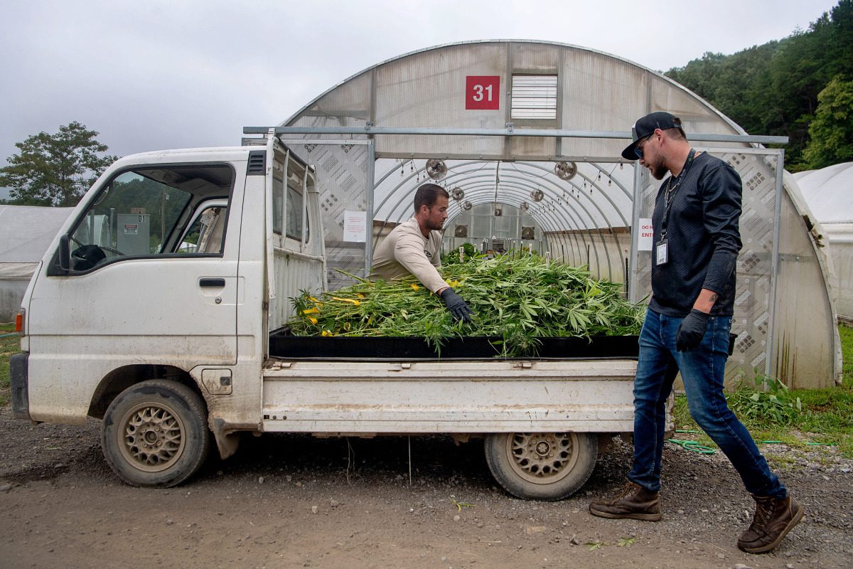 What updating North Carolina marijuana laws would mean for western NC